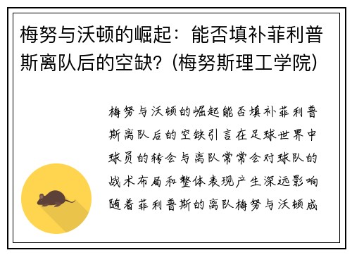 梅努与沃顿的崛起：能否填补菲利普斯离队后的空缺？(梅努斯理工学院)