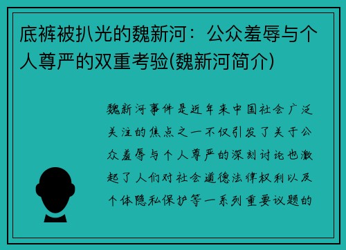 底裤被扒光的魏新河：公众羞辱与个人尊严的双重考验(魏新河简介)