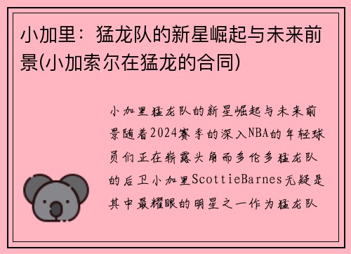 小加里：猛龙队的新星崛起与未来前景(小加索尔在猛龙的合同)