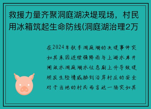 救援力量齐聚洞庭湖决堤现场，村民用冰箱筑起生命防线(洞庭湖治理2万亿)