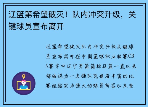 辽篮第希望破灭！队内冲突升级，关键球员宣布离开