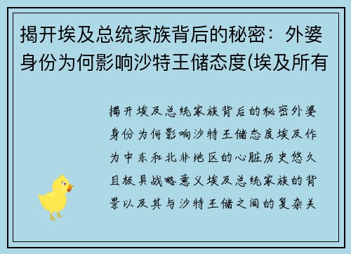 揭开埃及总统家族背后的秘密：外婆身份为何影响沙特王储态度(埃及所有总统)