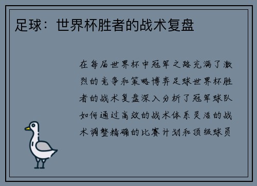 足球：世界杯胜者的战术复盘